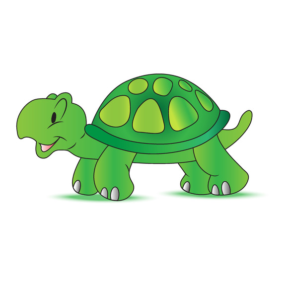 11 Turtle Illustrations Turtle Skeleton Clipart Clip - vrogue.co