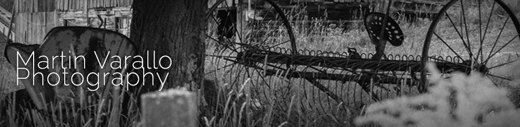 CreativeMarket banner for @Biscuit