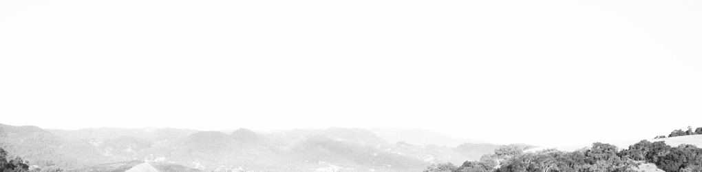 CreativeMarket banner for @louis