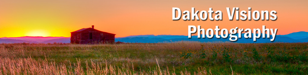 Dakota Visions