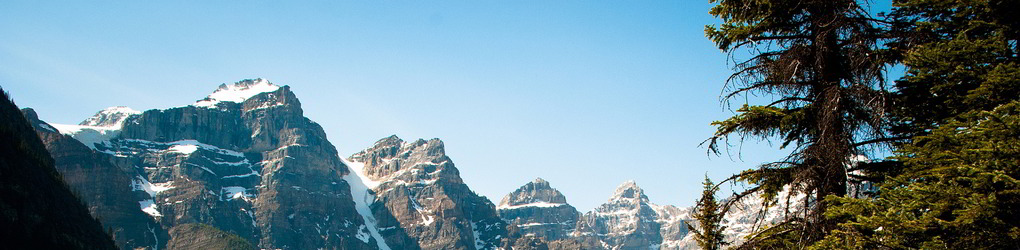CreativeMarket banner for @herd