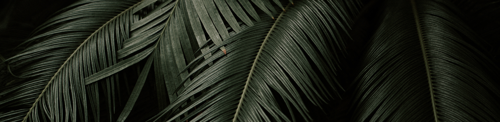 CreativeMarket banner for @Defects