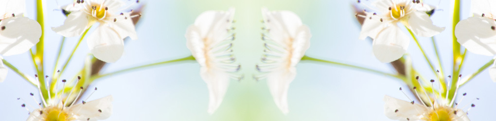 Inspired By Pics | Creative Market