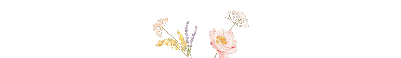 Soft Muse Art