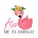Kiss me flamingo