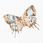 SabinaWatercolorArt