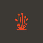 Ocotillo Design Studio