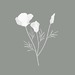 Naturopath Hub