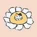 feverfew.an