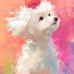DreamRecreations