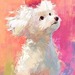 DreamRecreations