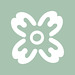 Memona Designz