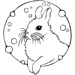 bubbled-rabbit