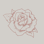 Courtney Rose Design