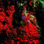 Manis recycle abstract