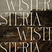 WisteriaStudio
