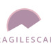 Fragilescape
