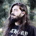 vurdembrushes