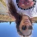 Johanna V. Creative