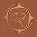 Gold Poppy Co.