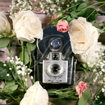 MStockPhotography