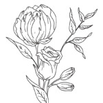 Luna May Designs
