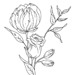 Luna May Designs