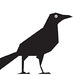 BlackBird Foundry