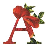 avtar