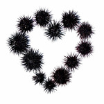 Unigraph