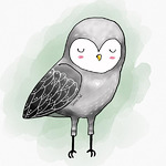 sereneowl