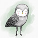 sereneowl