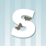 Sniff Design Studio