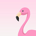 FlamingoThemes