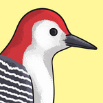 otto_otto