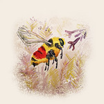 LandOfTheBees