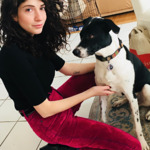 LaurenDiliberto