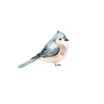 Willow And Tweet