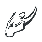 Oceloti