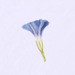 Petunia Prints