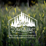 LS Nature Photography