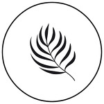 Palm Creatives