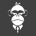 Monkey's Dream Studio