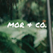 MOR & Co. Resources