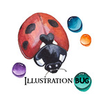 Illustration Bug