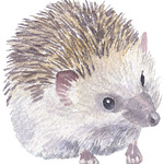 avtar