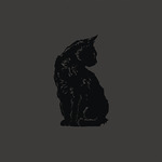 Studio Black Cat