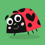 Funny Bug