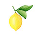 Lemon design