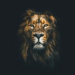 _Magic_Design